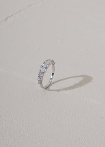 ANILLO CIRCONES DIEZ